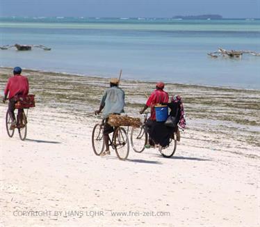 Beach walk, Zanzibar, DSC05948b